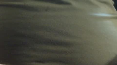 Snapshot of hamhead71 chatting on 01.23.25 hamhead71 online show from 01.23.25