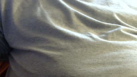 Snapshot of hamhead71 chatting on 01.28.25 hamhead71 online show from 01.28.25