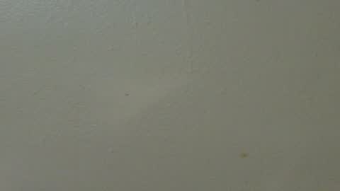 Snapshot of hamhead71 chatting on 02.07.25 hamhead71 online show from 02.07.25