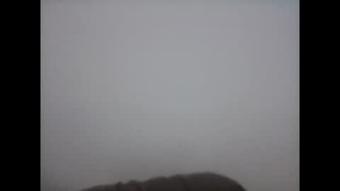 hammer9217 online show from 09.08.25