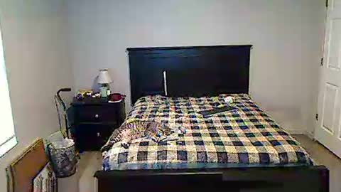 Snapshot of hammerthatthang73 chatting on 05.17.26 hammerthatthang73 online show from 05.17.26