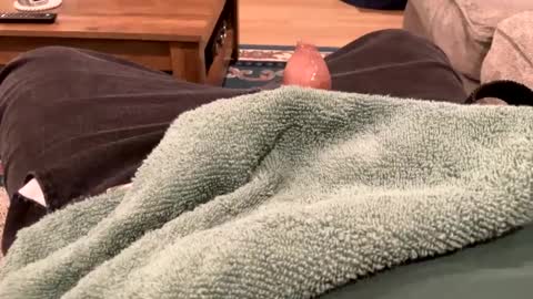 Snapshot of handhugger chatting on 12.27.24 handhugger online show from 12.27.24