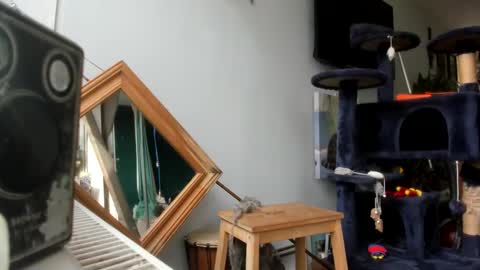 Snapshot of handncocknocum chatting on 02.25.25 handncocknocum online show from 02.25.25