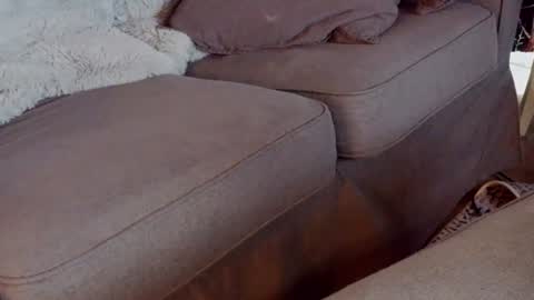 Handy Andy online show from 07.05.26