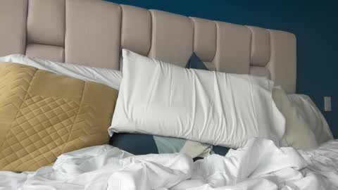 Snapshot of hanzlagerfelt chatting on 11.04.25 hanzlagerfelt online show from 11.04.25