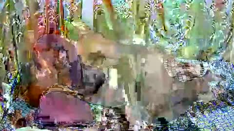 Snapshot of happysonia chatting on 03.18.26 happysonia online show from 03.18.26