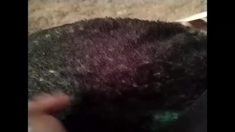 hardandhorny422 online show from 10.13.25