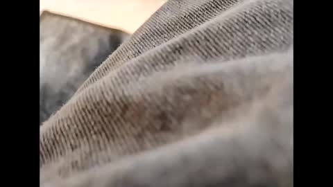 hardandhorny422 online show from 10.30.25