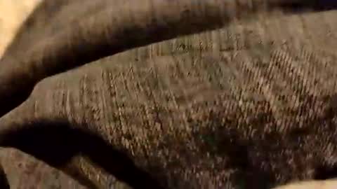 hardandhorny422 online show from 01.05.26