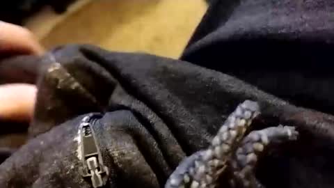 hardandhorny422 online show from 02.05.26