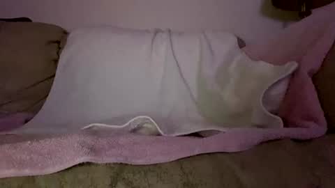 Slim West Cox online show from 02.11.26