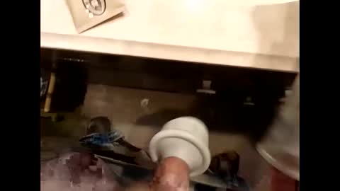 hardforu8675 online show from 04.13.26