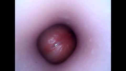 Snapshot of hardhammerboy chatting on 12.26.24 hardhammerboy online show from 12.26.24