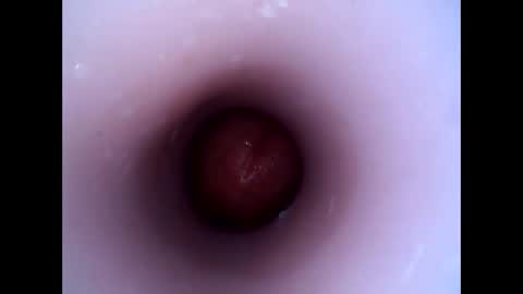 Snapshot of hardhammerboy chatting on 12.29.24 hardhammerboy online show from 12.29.24