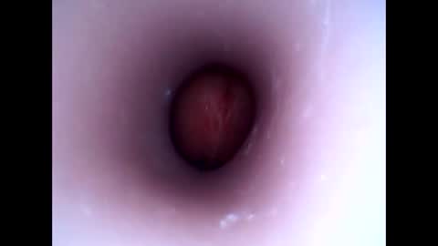 Snapshot of hardhammerboy chatting on 01.01.25 hardhammerboy online show from 01.01.25