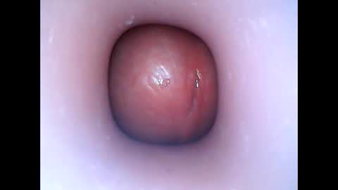 Snapshot of hardhammerboy chatting on 01.06.25 hardhammerboy online show from 01.06.25