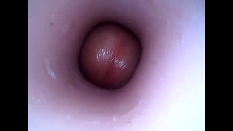 Snapshot of hardhammerboy chatting on 01.08.25 hardhammerboy online show from 01.08.25