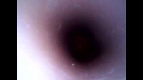 Snapshot of hardhammerboy chatting on 01.10.25 hardhammerboy online show from 01.10.25