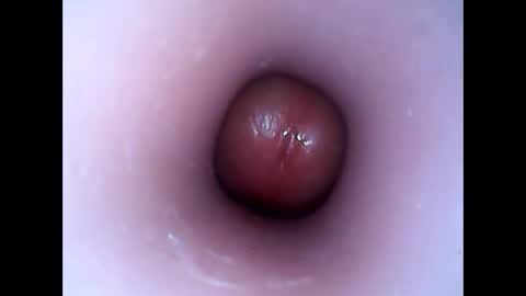 Snapshot of hardhammerboy chatting on 01.12.25 hardhammerboy online show from 01.12.25