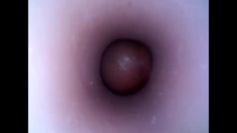 Snapshot of hardhammerboy chatting on 01.13.25 hardhammerboy online show from 01.13.25