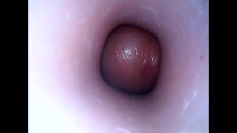 Snapshot of hardhammerboy chatting on 01.16.25 hardhammerboy online show from 01.16.25