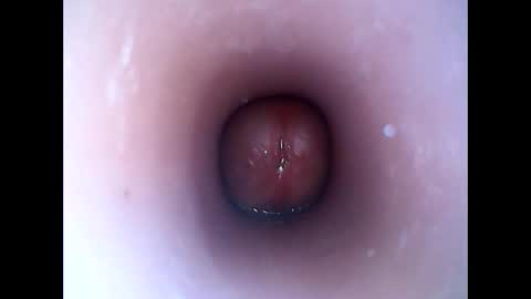 Snapshot of hardhammerboy chatting on 01.19.25 hardhammerboy online show from 01.19.25