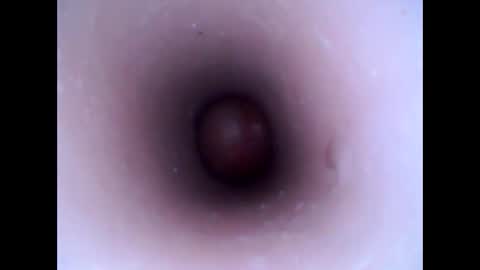 Snapshot of hardhammerboy chatting on 01.20.25 hardhammerboy online show from 01.20.25