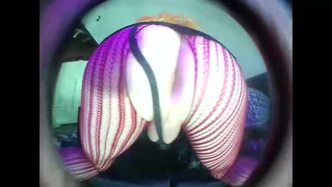 Snapshot of hardkoregigi chatting on 09.19.25 hardkoregigi online show from 09.19.25