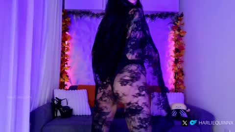 Harliequinnx - Schedule Below Exxxotica DC Dec 6-8th online show from 10.31.25