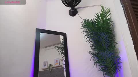 Harper  online show from 10.02.25