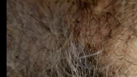 Snapshot of harry_banana chatting on 02.21.25 harry_banana online show from 02.21.25