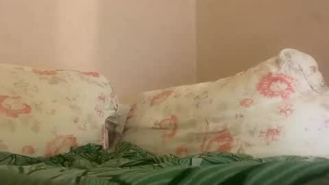 dee online show from 01.27.25