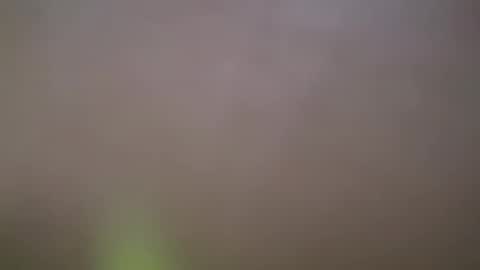 ZhongLi online show from 02.14.25