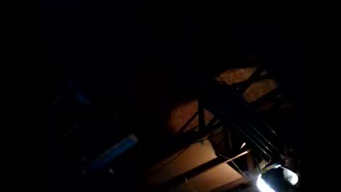 hbdj2164 online show from 11.26.25