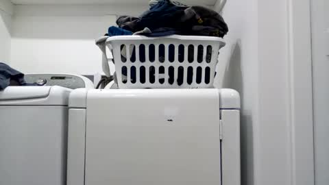 hdrsh08 online show from 04.15.26