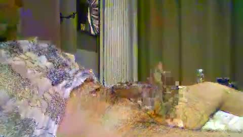 heddamedda59 online show from 04.03.26