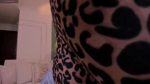 Heidy online show from 02.21.26