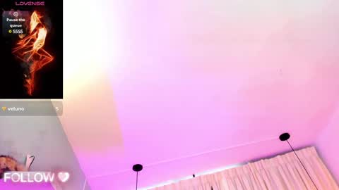              online show from 02.12.25