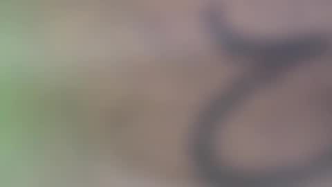 hellohowareyou66 online show from 11.29.25