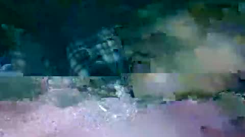 Snapshot of hi_life850 chatting on 02.17.26 MR. Bation online show from 02.17.26