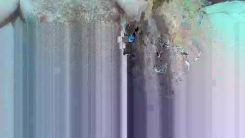 hi_to_you online show from 06.03.26