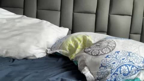 Terry and E online show from 09.21.25