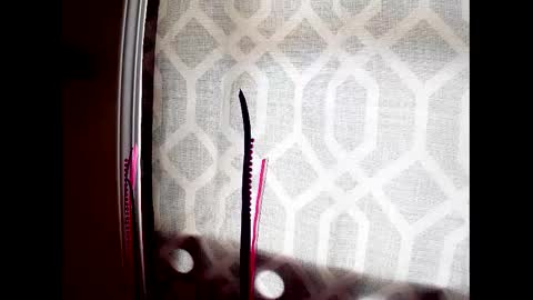 Highnesscali37 online show from 12.07.24