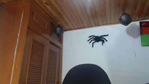 hilaril18 online show from 10.28.25