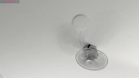 hilary_tailor online show from 01.09.26