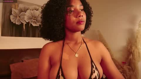    - 29p online show from 04.18.26