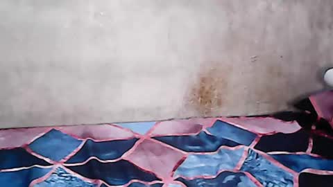 Snapshot of hillary_jade chatting on 03.09.25 hillaryjade online show from 03.09.25