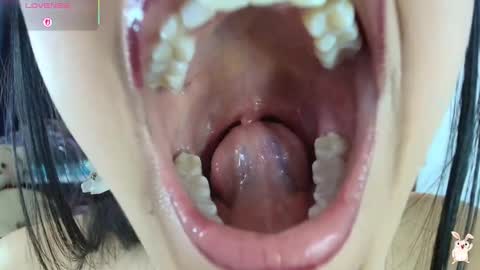 Snapshot of hinata_21_ chatting on 02.20.26 hinata online show from 02.20.26