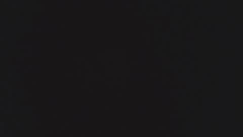 FANE AND DAVID online show from 12.16.25