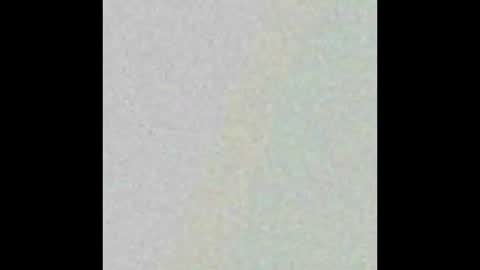 Hung top 4 furry dads online show from 03.09.25